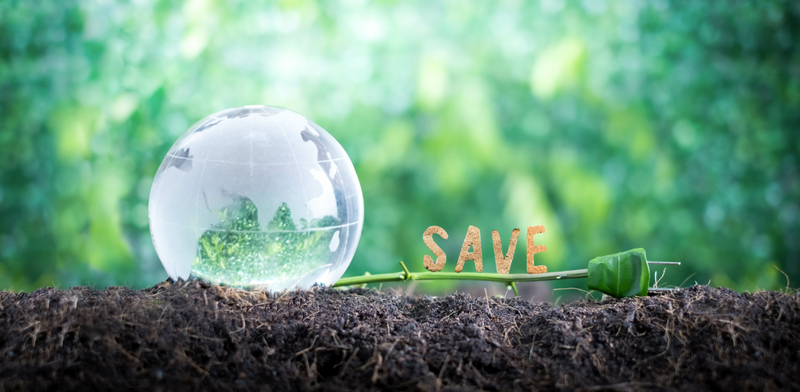 Say Hello To Sustainability...